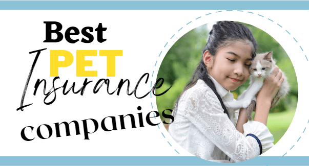 Pet Insurance Companies