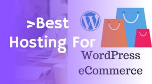 WordPress eCommerce