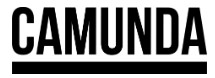 Camunda Product Manager Self Managed Service Remote Job with Salary up to $231900