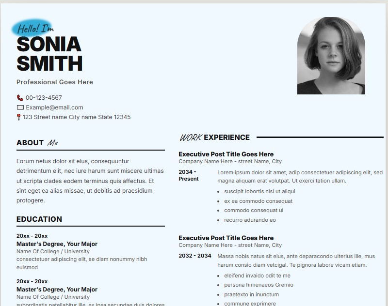 Professional  Resume