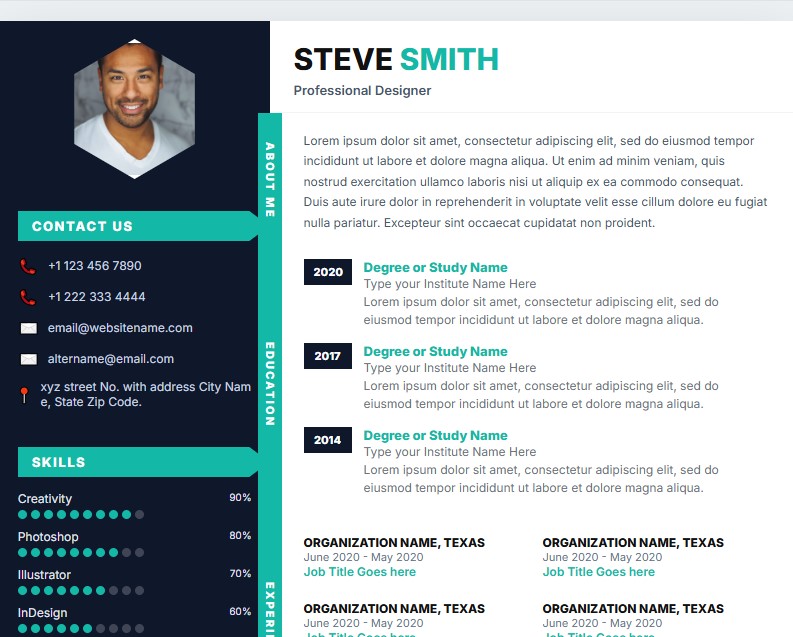 Professional Designer Resume